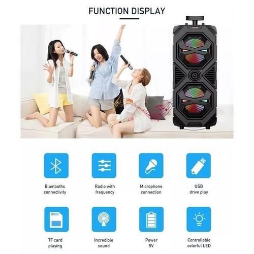 Generic Dual 8-Inch Portable LED Bluetooth Karaoke Microphone Speaker - Black - image 6