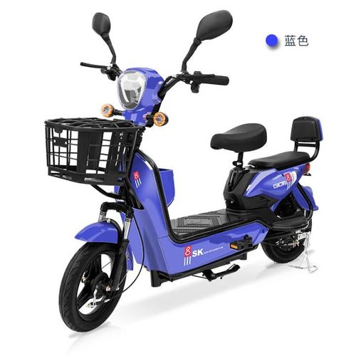 Bikevee 3 Gear Electric Scooter-Multi.