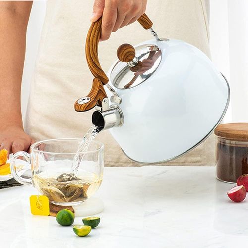 Modern Tea Pot Loud Whistling Stainless Steel Tea Kettle 2.5L Large  Capacity for Gas Electric