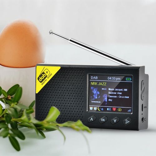 Shop Generic Portable 5.0 Digital Radio DAB/DAB+ and FM Receiver