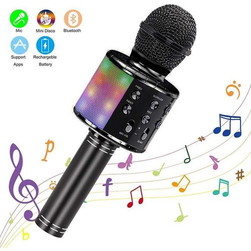 Karaoke Microphone