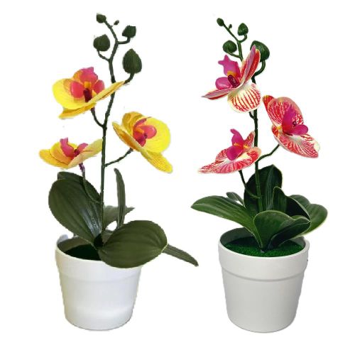 product_image_name-Generic-2 pots of Artificial Phalaenopsis Orchids Green Plants, Indoor Decorative Desktop Potted Plants-1