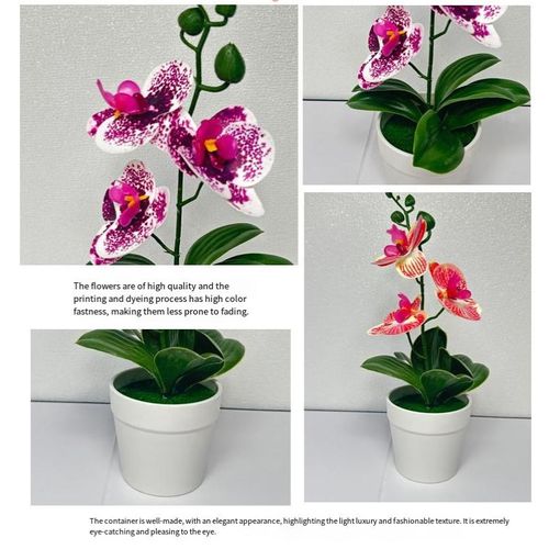 product_image_name-Generic-2 pots of Artificial Phalaenopsis Orchids Green Plants, Indoor Decorative Desktop Potted Plants-5