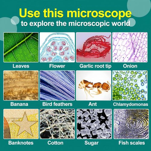 Generic 3-in-1 Children's Microscope, Portable Microscope Set with LED Light - image 6