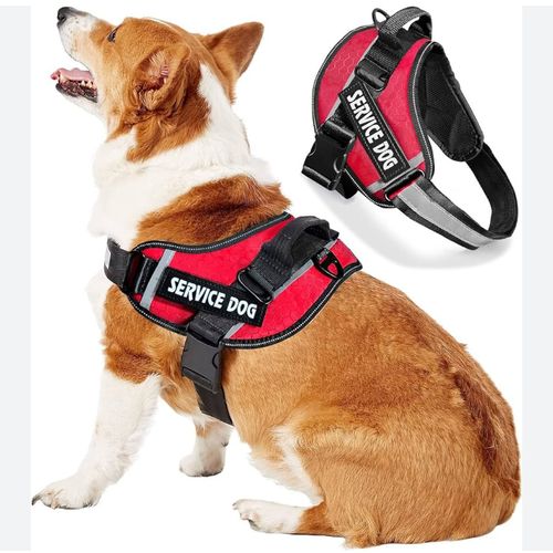product_image_name-A B Gee- Classic Power Harness For Dogs - Red-1