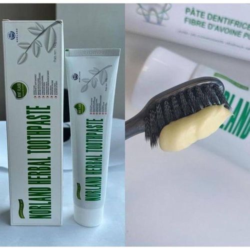 NORLAND Herbal Toothpaste - Mint 150g - image 2