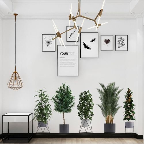 product_image_name-Generic-5 IN 1 3D decorative wall stickers leaves tropical plant stickers-5