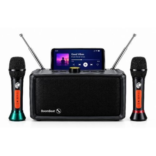 AD Classic Pro Soundbox Bluetooth Player + Microphone - Black - image 2