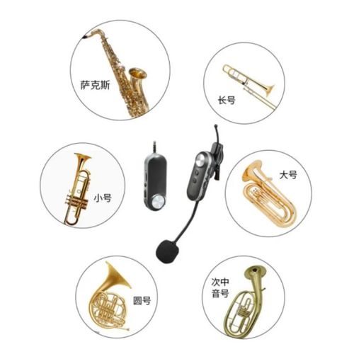 White Label Universal Microphone For Saxophone And All Other Wind Instruments - image 5