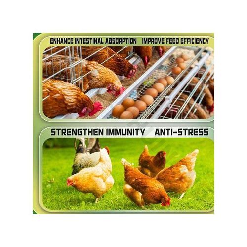 product_image_name-Generic-Poultry Egg Production Egg Booster For Layers - 500g-2