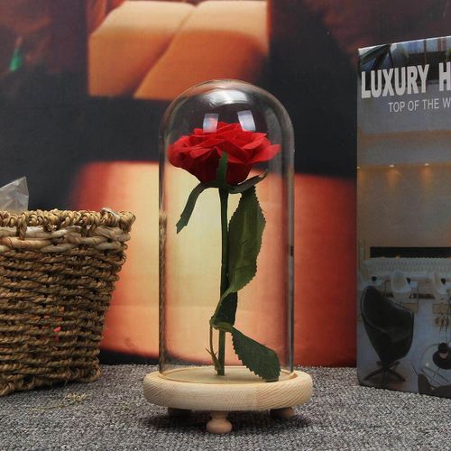 Shop Generic Beauty And The Beast Enchanted Preserved Real Natural