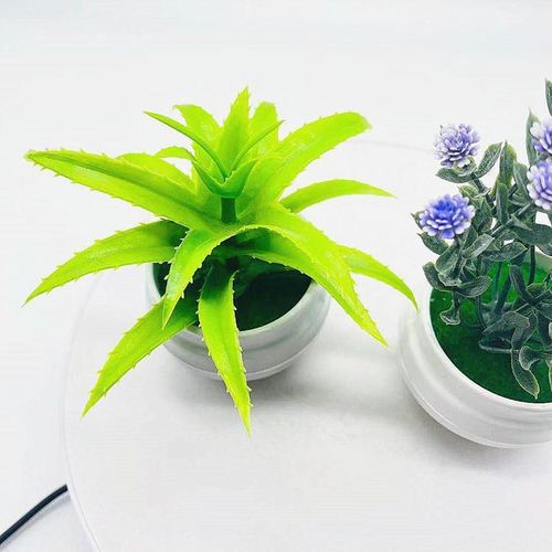 product_image_name-Generic-2 POTS of artificial flower succulent pot set car table decoration-2