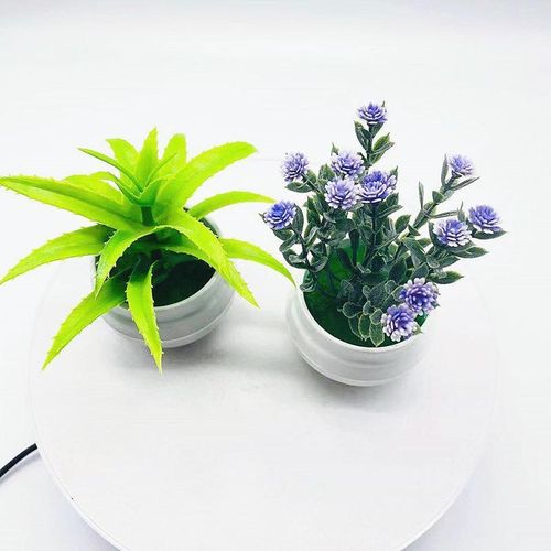 product_image_name-Generic-2 POTS of artificial flower succulent pot set car table decoration-5
