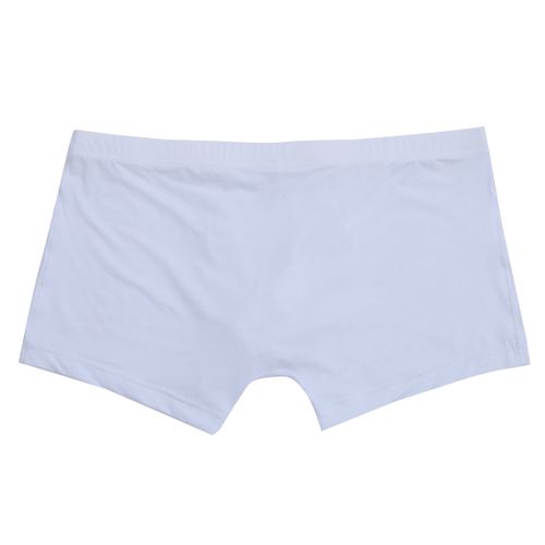 Shop Generic White Sexy Men Erotic Lingerie Stretchy Briefs Underwear Male  Silk Translucent Online