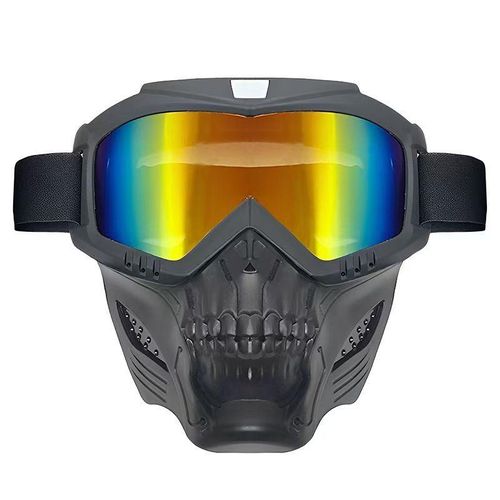 Generic Riders Removable mask