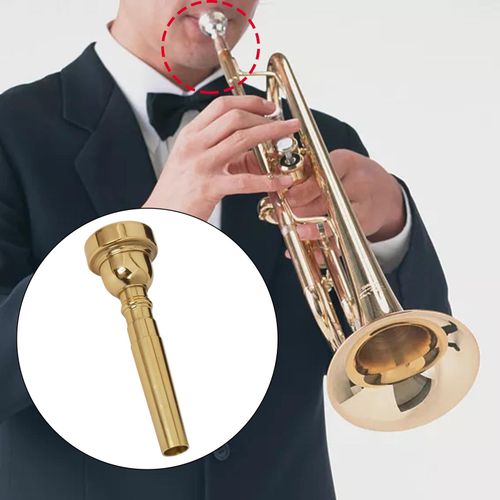 Shop Generic Trumpet Mouthpiece Musical Instruments Accessories Trumpet  Parts 5C Online