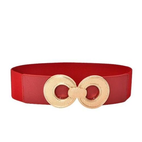 AD Women's Elegant Waist Elastic Belt - Multicolour