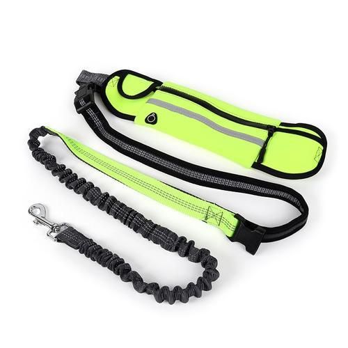 Pet Supplies Reflective Hand Free Bungee Leash Pet Safety Dog