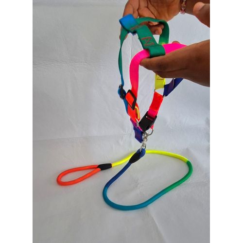 Generic Elastic Rainbow Leash -Dogs
