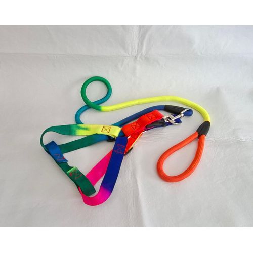 Generic Elastic Rainbow Leash -Dogs - image 2