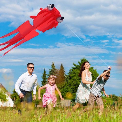 Shop Generic 3D Kite for Kids and Adults Huge Frameless Soft Parafoil Giant  Kite with 30m String for Beach Park Family Trip Outdoor Games Online