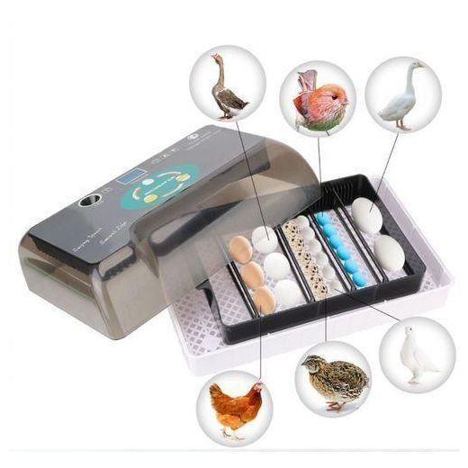 Generic Poultry Incubator, 9–35 Egg Incubator, Egg Incubator - image 3