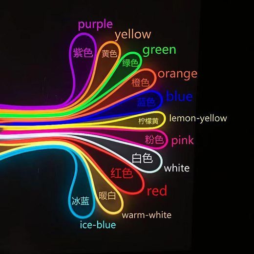 Generic 10m LED-NEON 16 RGB LIGHT - image 2