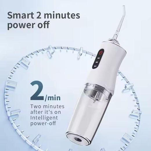 LM USB Mini Flusher Oral Care Water Flossers With 4 Nozzles 220ml Removable Water Tank  - White - image 4
