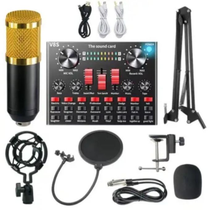 Shop White Label Professional Microphone Condenser with V8s
