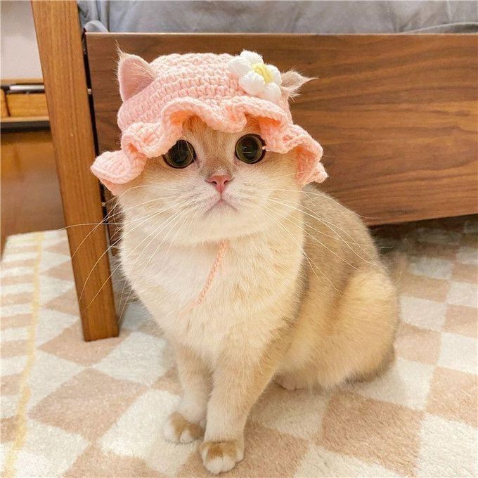 andwang Fluffy cat knit hat 【公式通販】